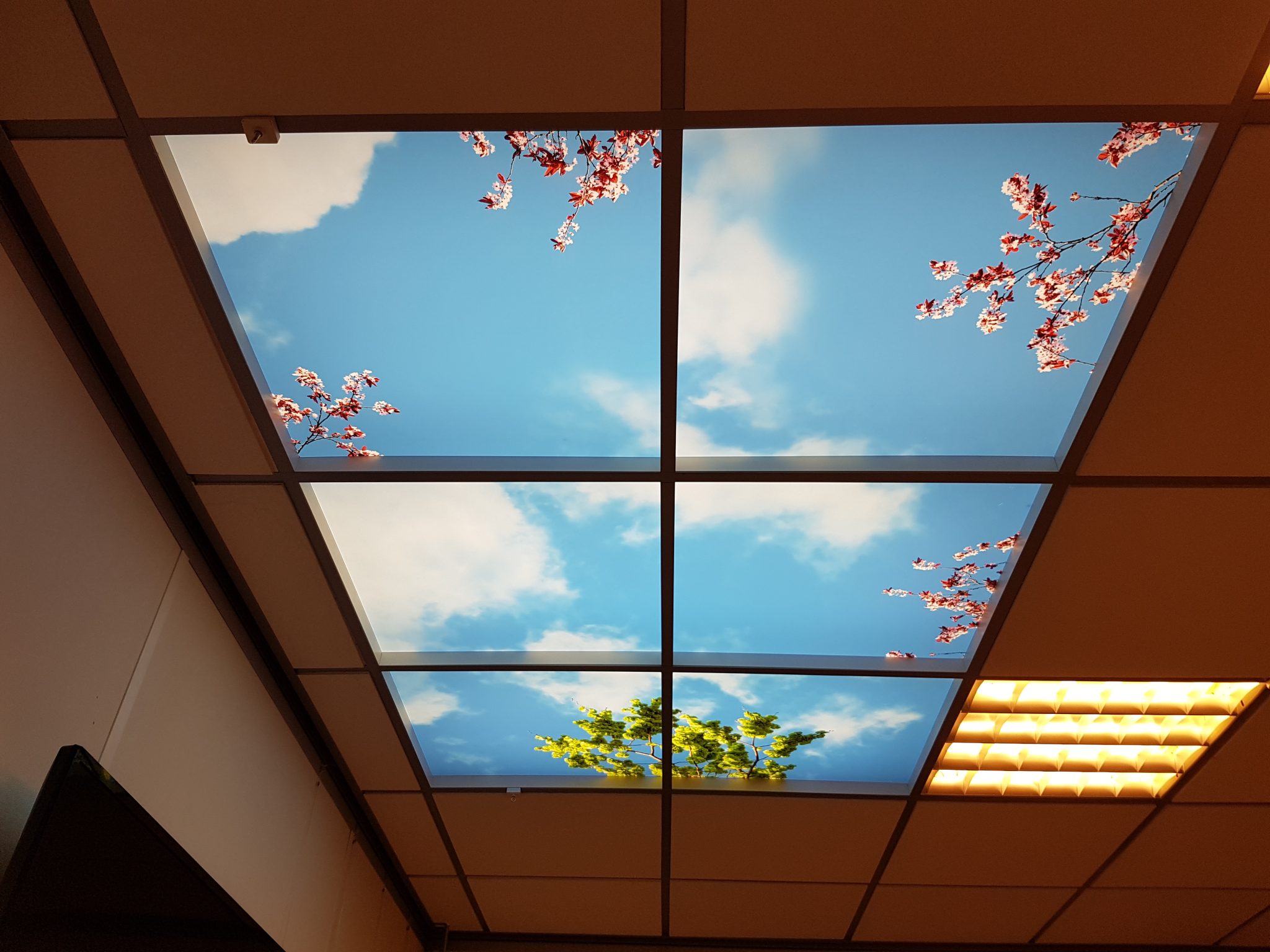 wolken plafond sensues